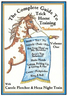 COMP GUIDE TO TRICK HORSE TRAINING 1 DVD